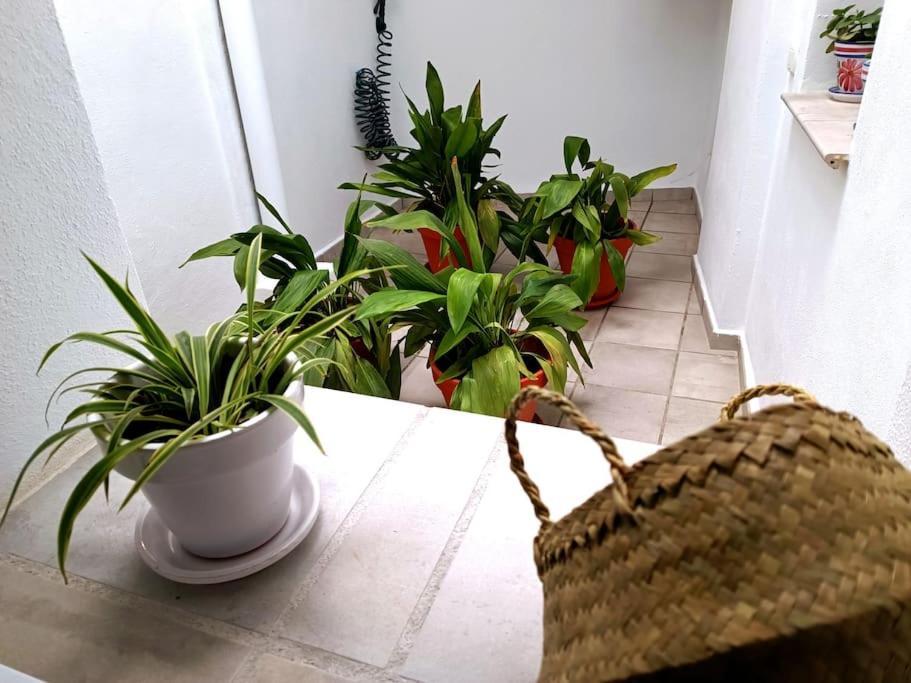 Apartamento Alberzana - Barrio Albaicin - Granada Kültér fotó